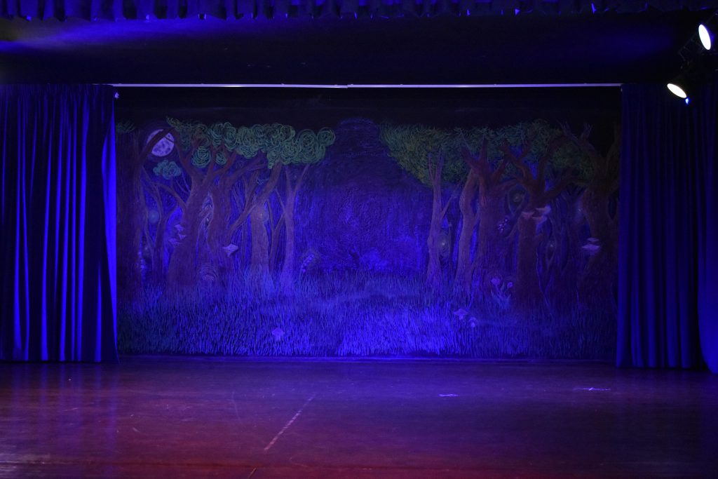 The painted forest set for a High School Shakespeare play