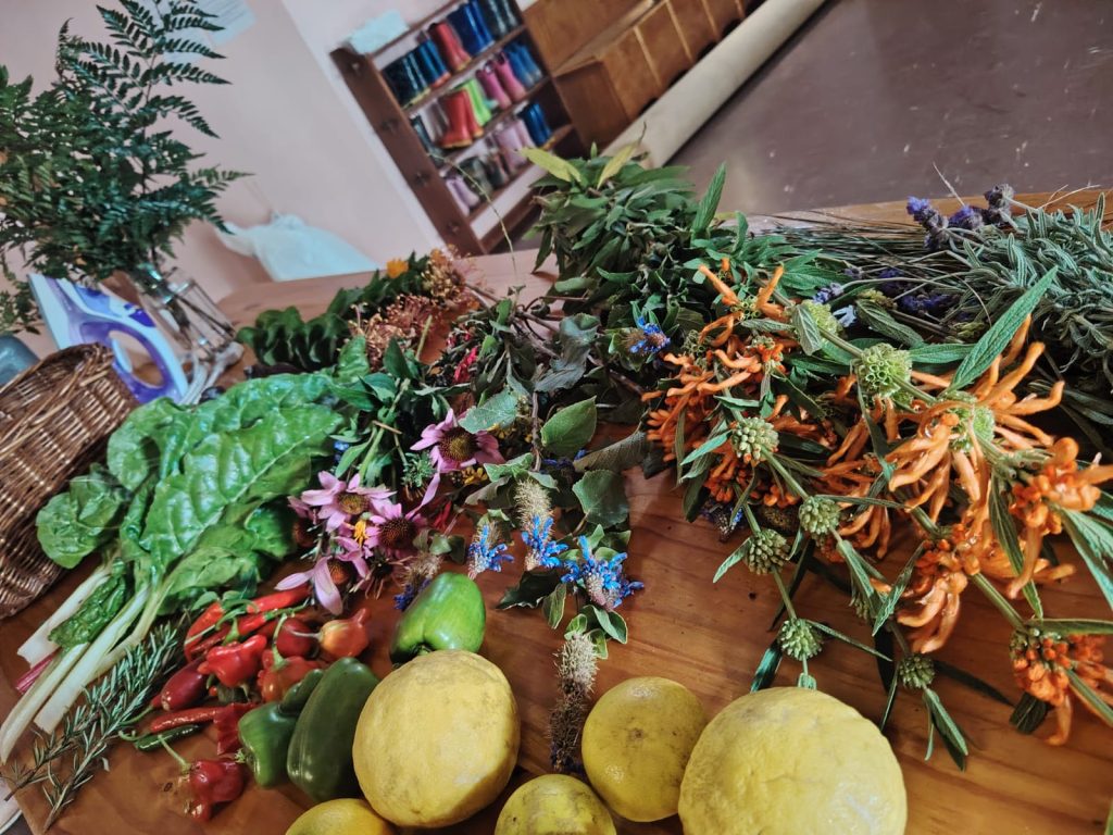 Vegetables, fruit and flowers gathered by the children on a classroom table