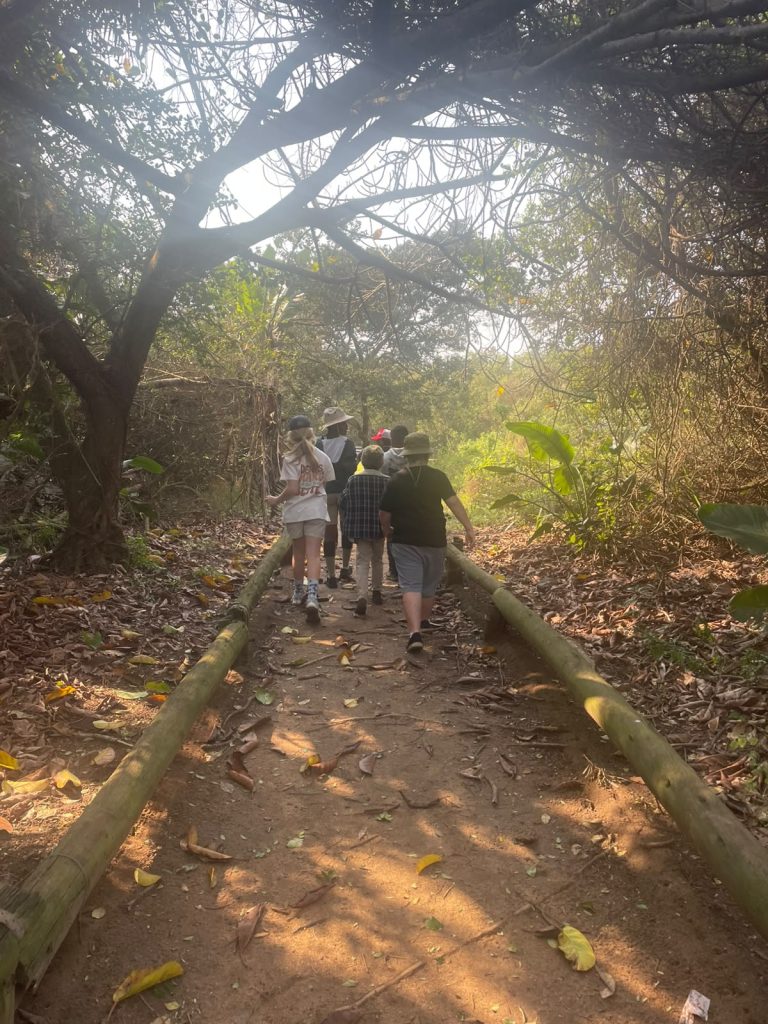 A class walking along a shaded forest boardwalk